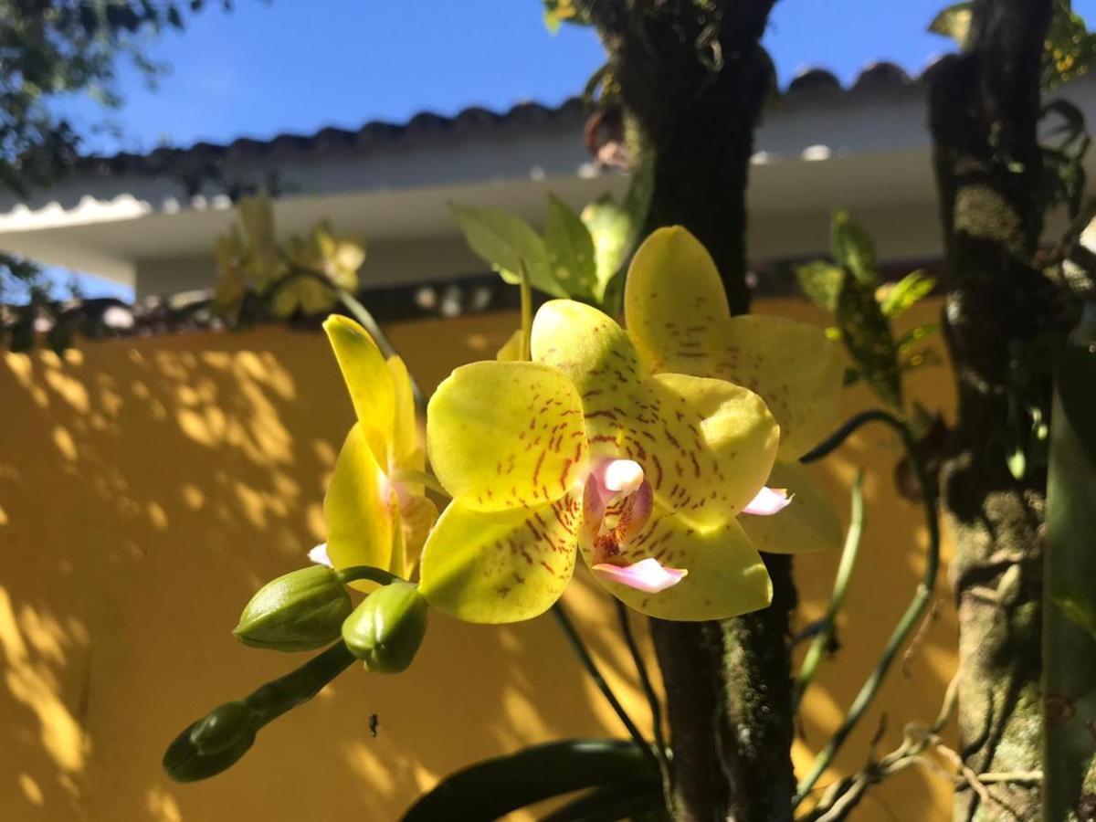 Canto Das Orquideas Hotel Paraty Exterior foto