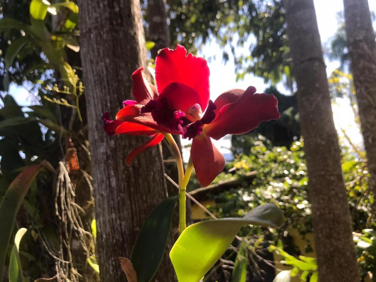 Canto Das Orquideas Hotel Paraty Exterior foto