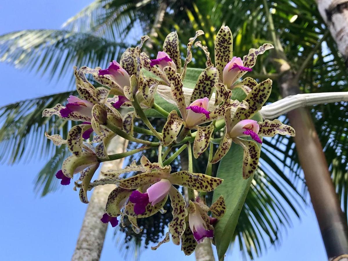 Canto Das Orquideas Hotel Paraty Exterior foto